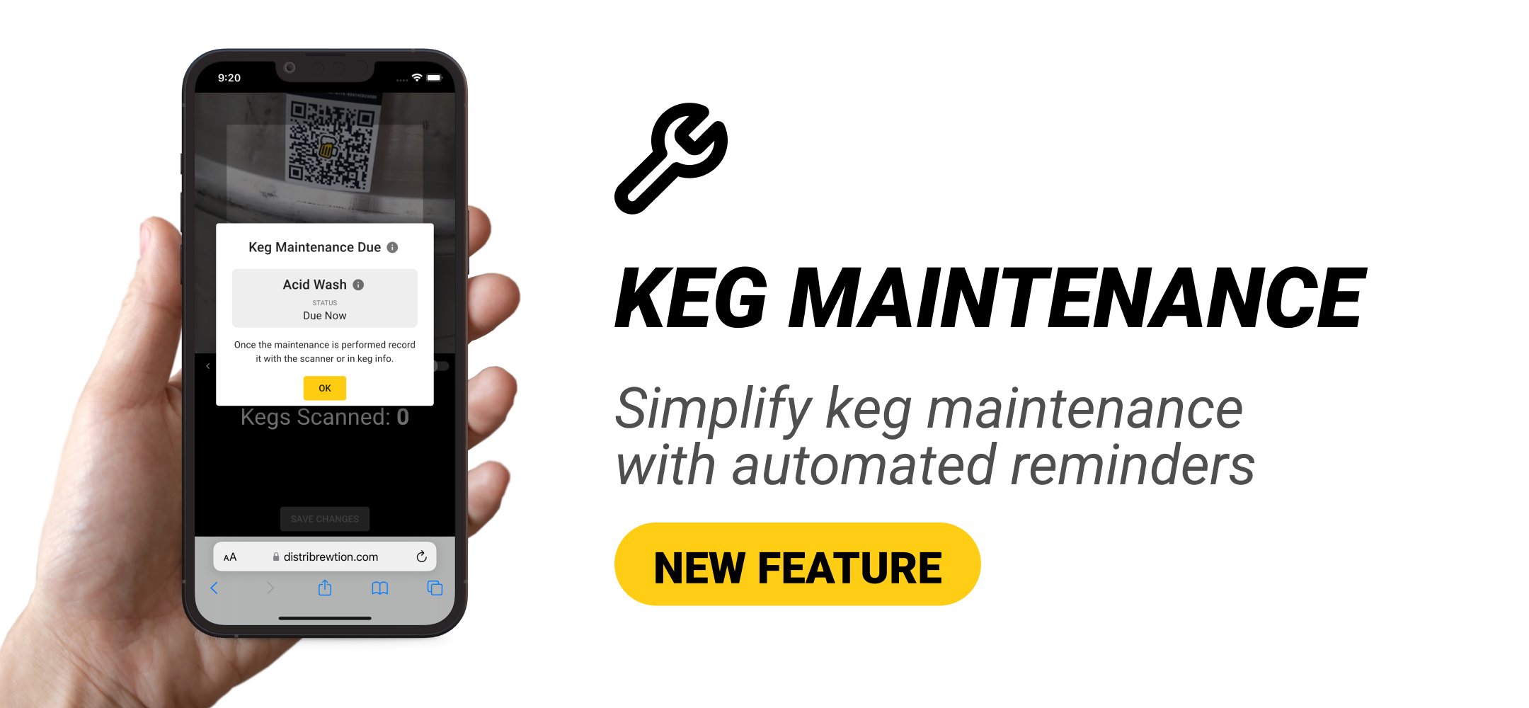 Keg Maintenance